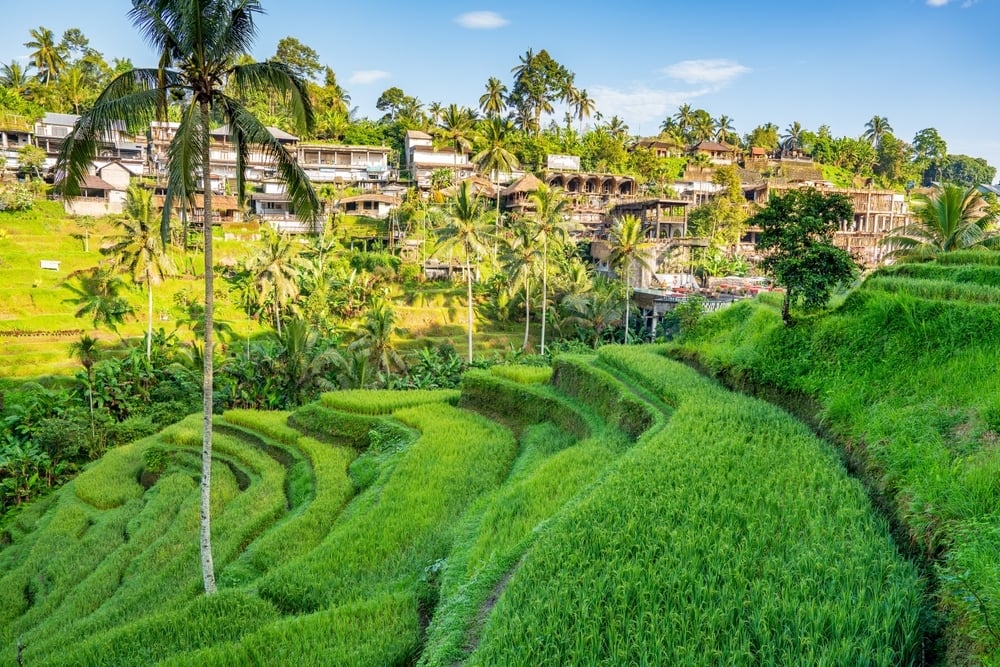 Bali-Aug-05-2025-05-02-17-1780-PM