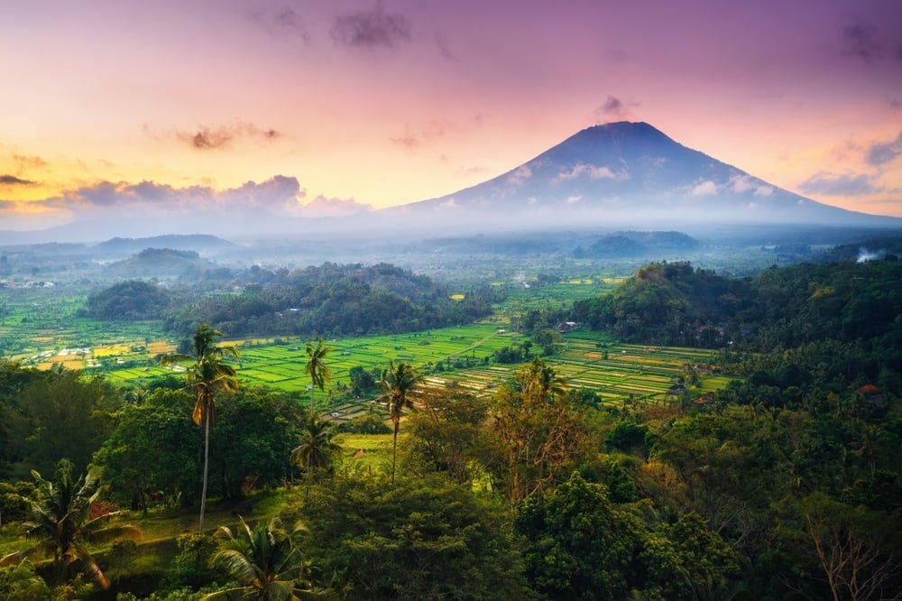 Bali-Oct-21-2025-02-40-31-7918-PM