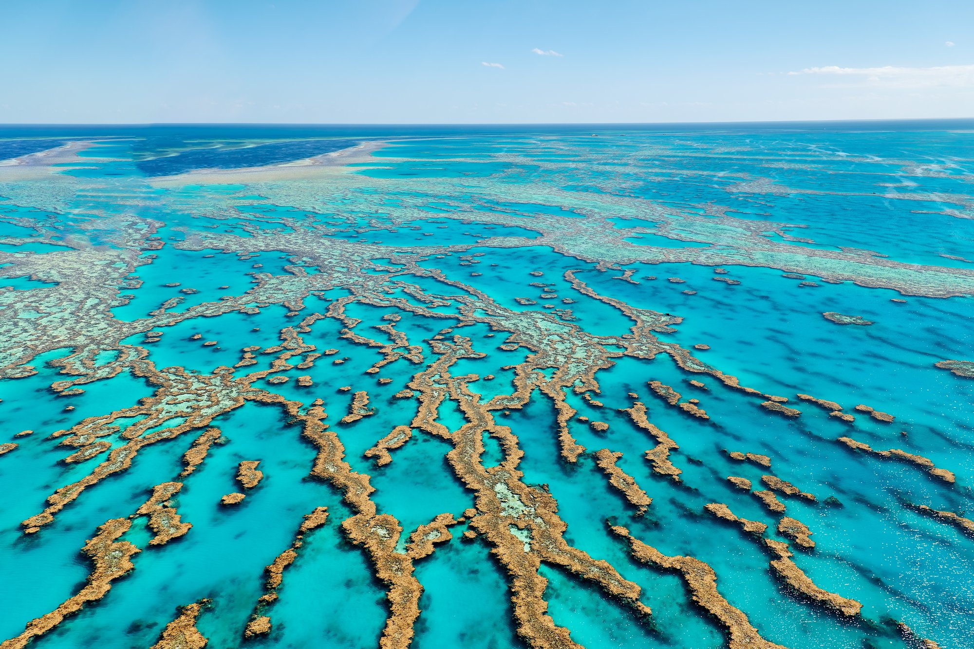 Grande Barreira de Coral