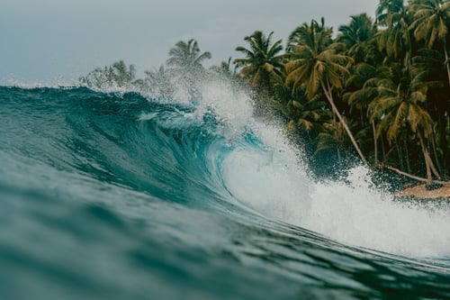 surf-nas-ilhas-mentawai