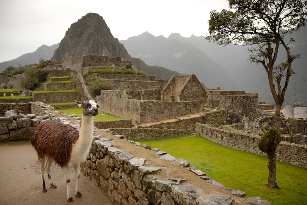 Machu Picchu-1