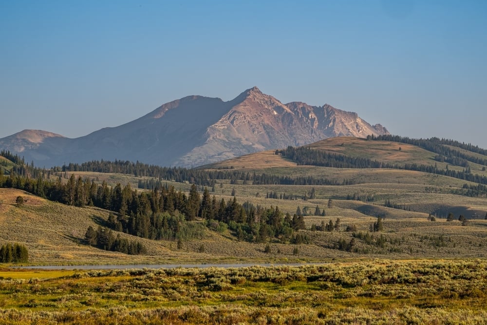 Yellowstone