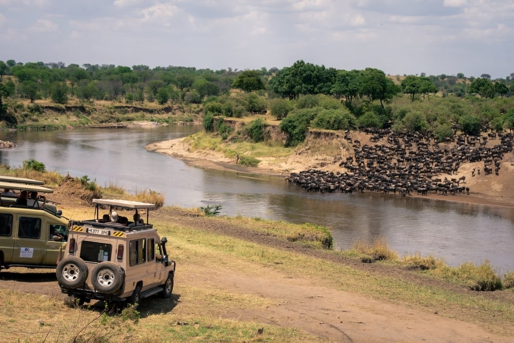 shutterstock_2423452429