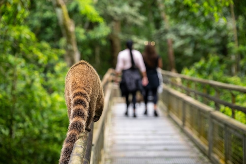 shutterstock_2704110005