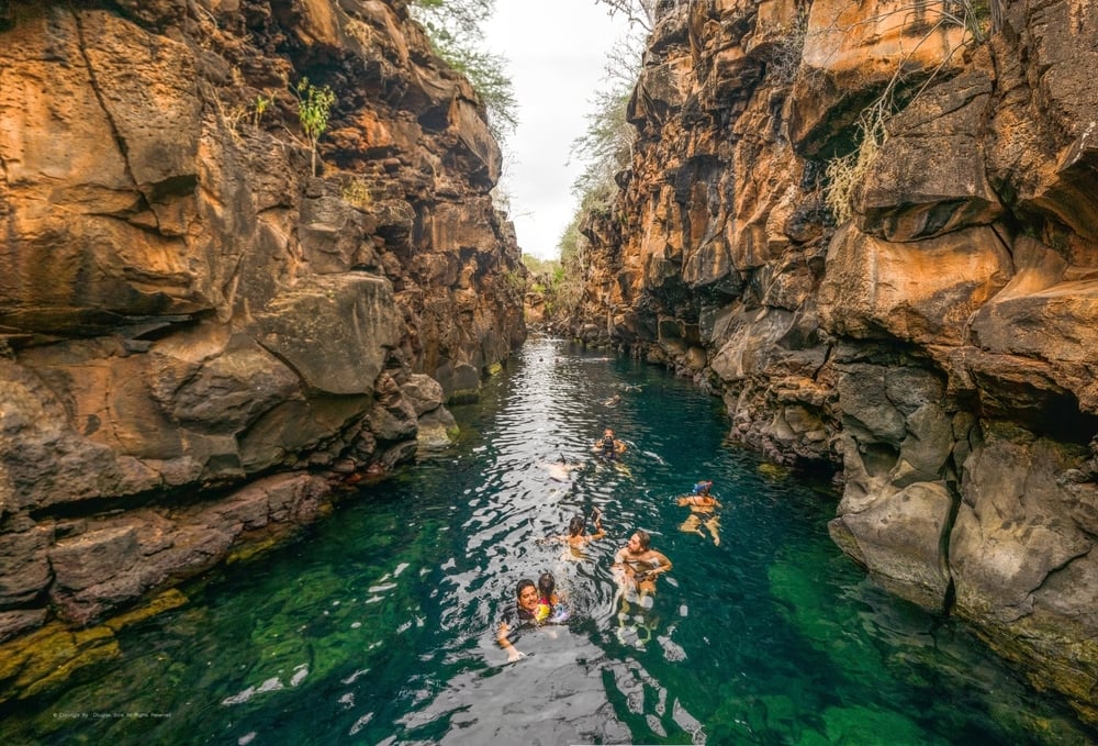 shutterstock_2709245713