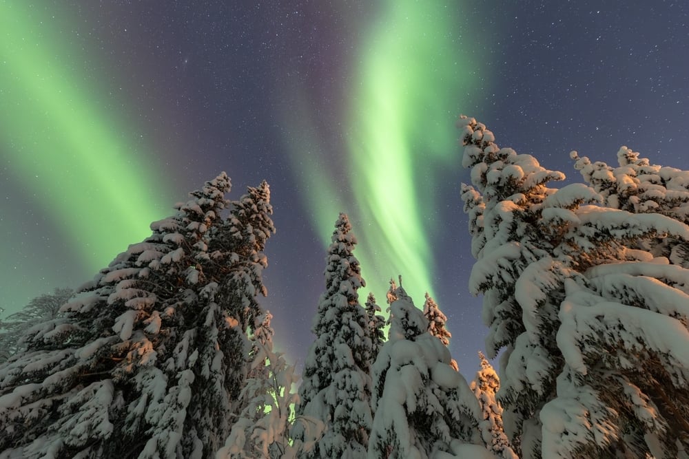 shutterstock_2711258325