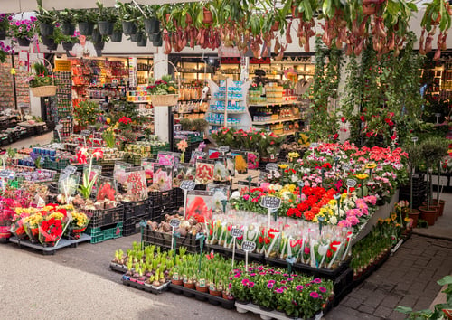 Mercado de Flores Flutuante