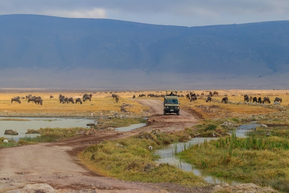 tanzania 1