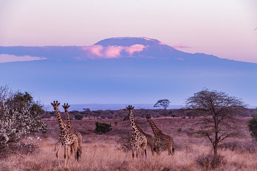 tanzania 2
